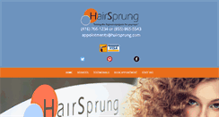 Desktop Screenshot of hairsprung.com